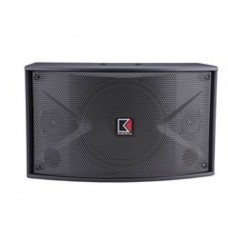 Audio King SP100